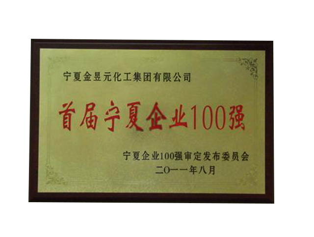 2011年首届宁夏企业100强